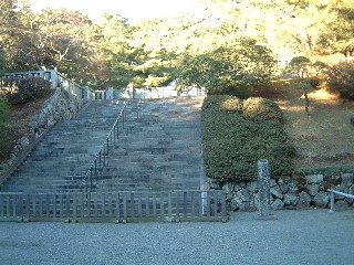 吳Vc
